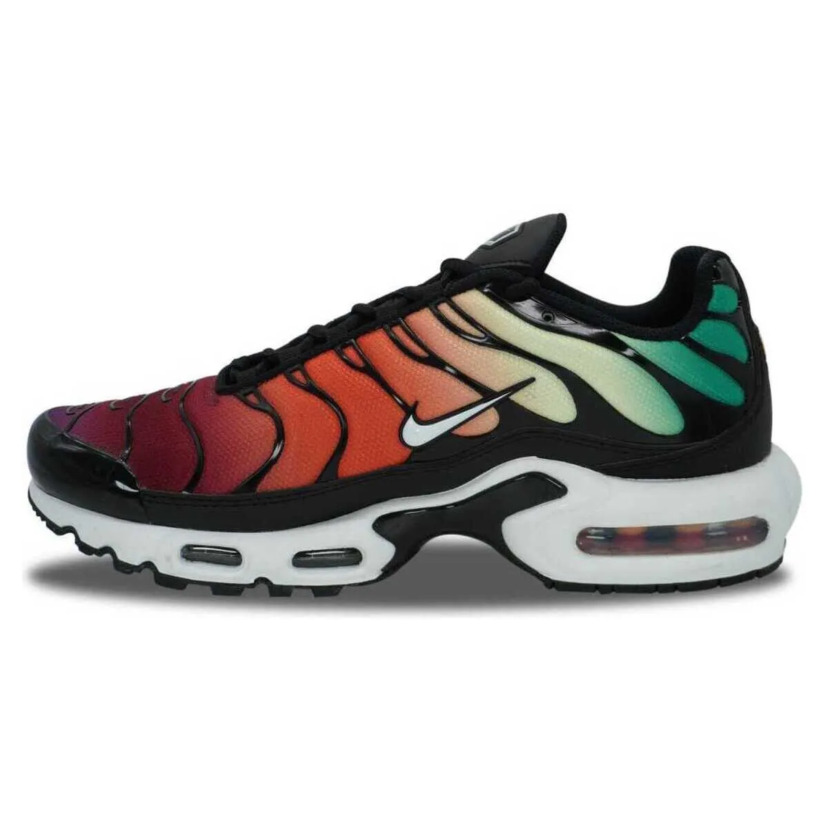 Air Max Plus TN Rainbow