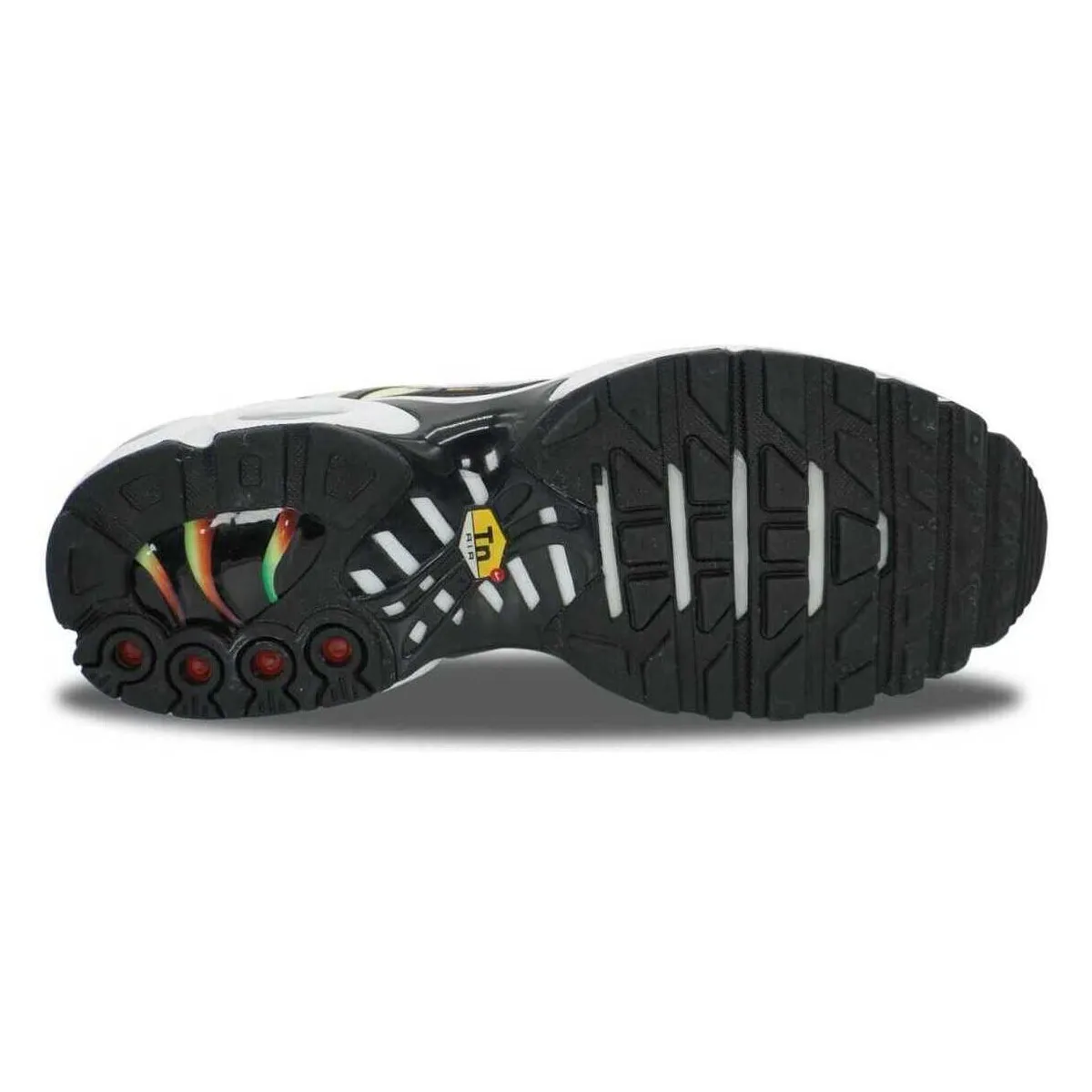 Air Max Plus TN Rainbow