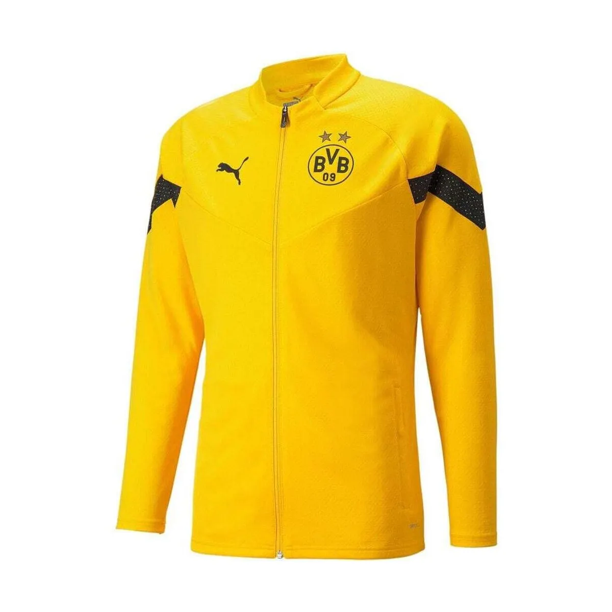 BORUSSIA D 23 Training Jacket