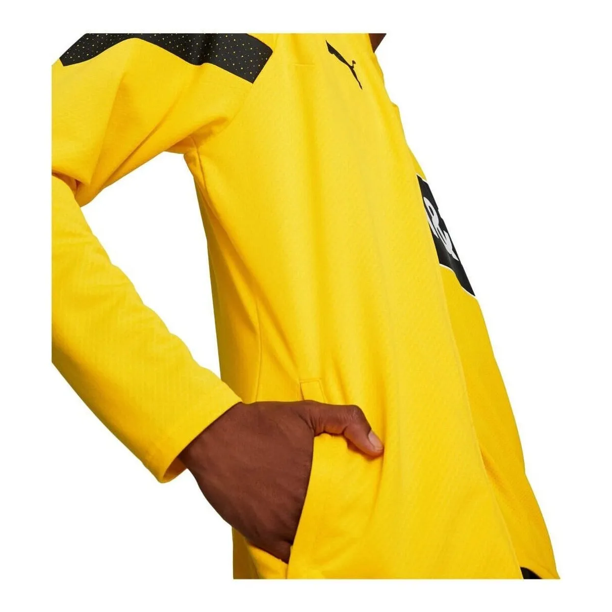 BORUSSIA D 23 Training Jacket