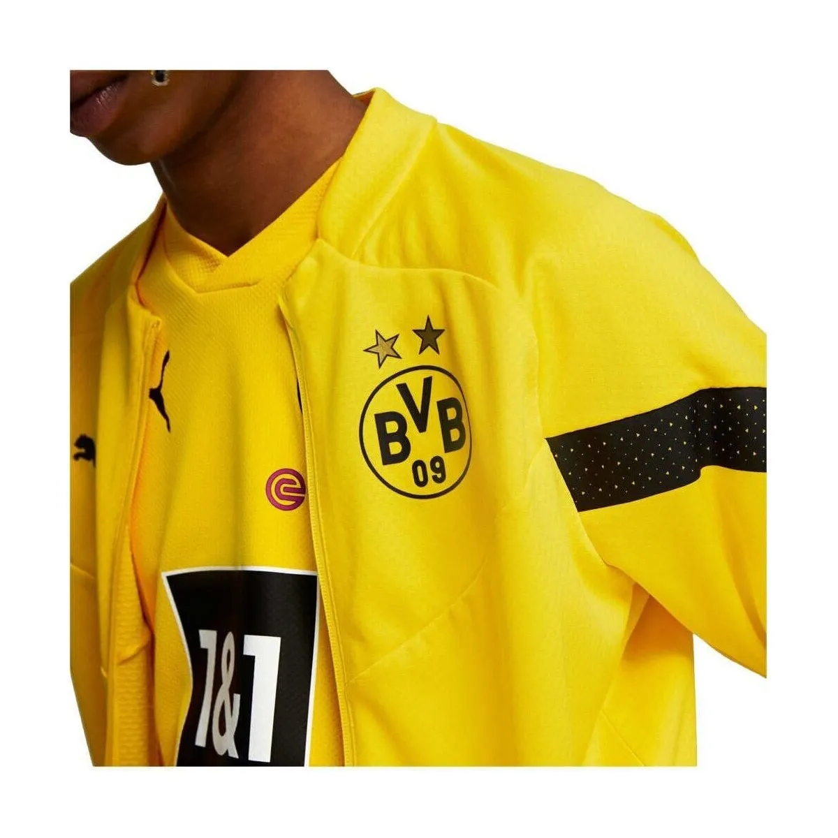 BORUSSIA D 23 Training Jacket