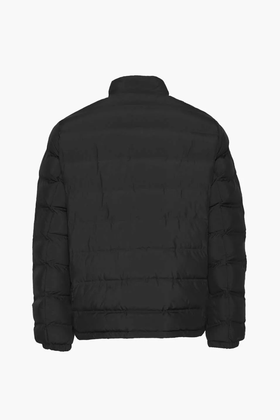 Chaqueta para hombre de Sorbino – GBI2176SP
