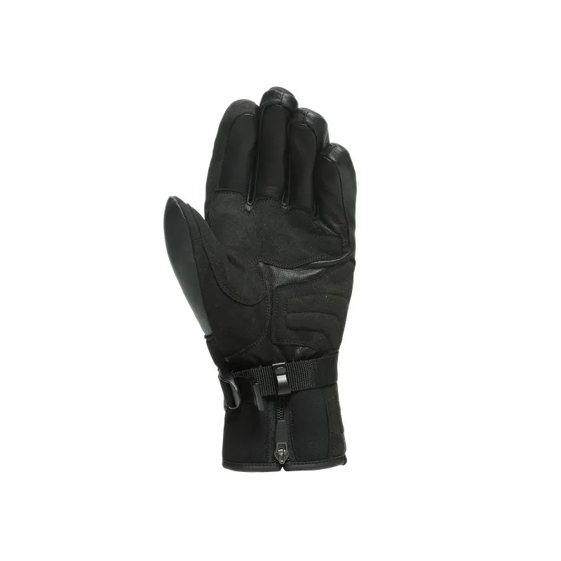 GUANTES DE ESQUí DAINESE HP ERGOTEK (STRETCHLIMO/STRETCHLIMO)